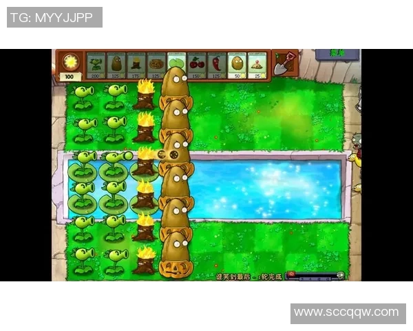 大阪七福神与东京电击的巅峰对决谁能笑到最后